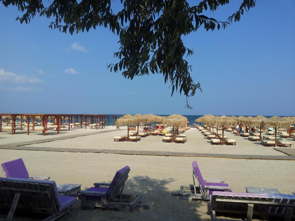 Blue Beach Studios Mamaia Extérieur photo